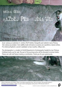 Dog_PLAKAT-ZTRATY