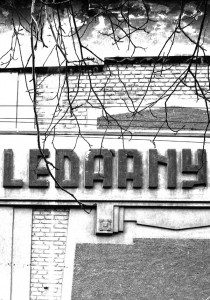 ledarny3