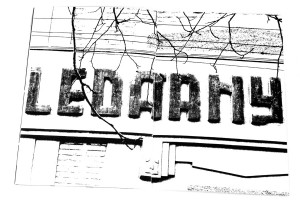 ledarny_MG_7040